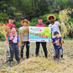 「米(マイ)ジャグラープロジェクト」に今年も豊かな実りが!<br>~いわきFC、地域の子どもたちが稲刈り通じて交流深める~ メイン_DSC_6032_2